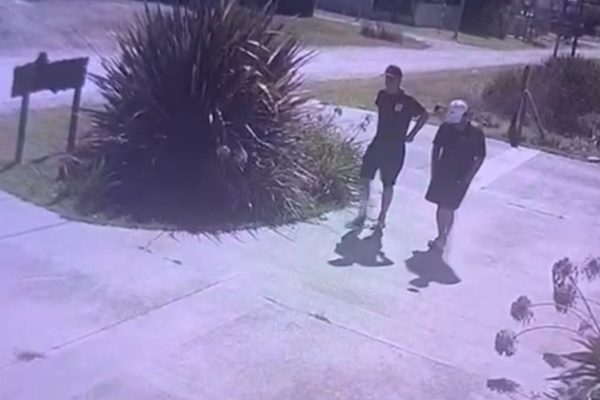 Mar del Plata: querían desvalijarle la casa por segunda vez en seis meses y sus perros espantaron a los ladrones