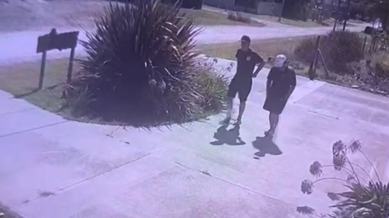 Mar del Plata: querían desvalijarle la casa por segunda vez en seis meses y sus perros espantaron a los ladrones