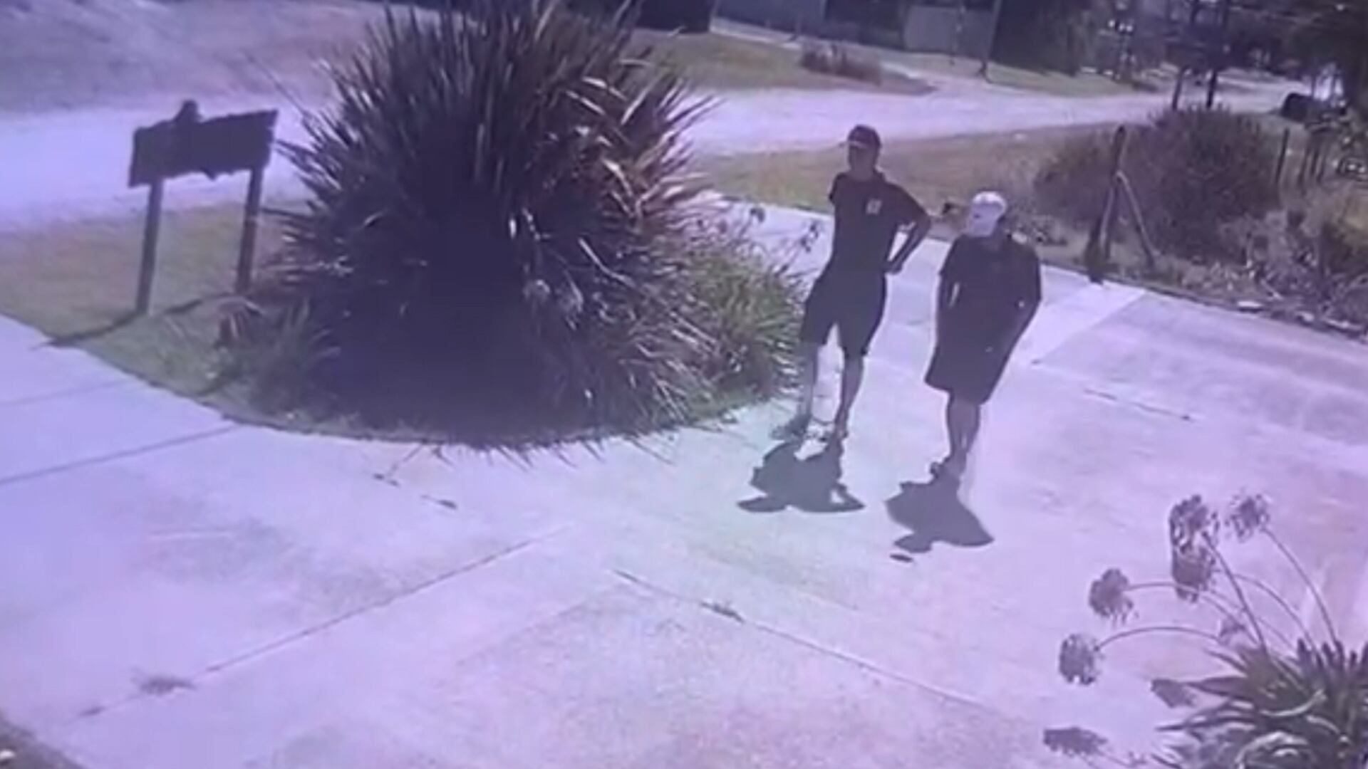 Mar del Plata: querían desvalijarle la casa por segunda vez en seis meses y sus perros espantaron a los ladrones