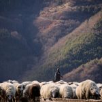 Misterio por la muerte de seis personas en las montañas de Bulgaria: “Es un caso sin comparación”