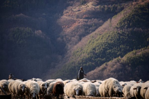 Misterio por la muerte de seis personas en las montañas de Bulgaria: “Es un caso sin comparación”