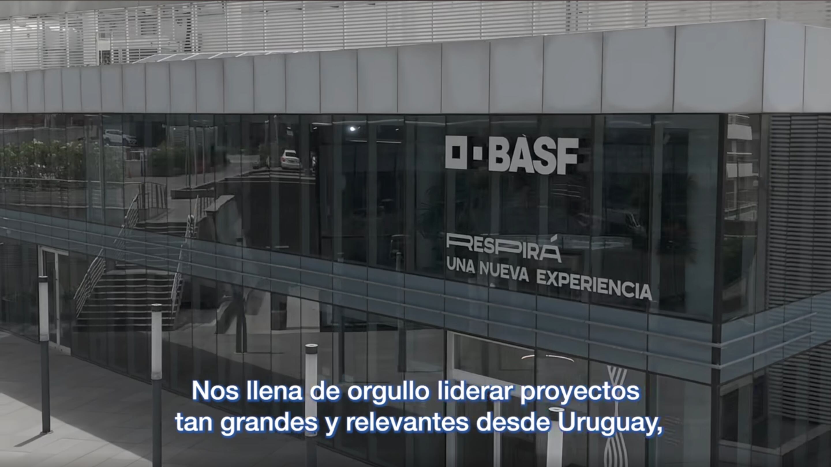 La multinacional Basf realiza una reestructura en Uruguay y anuncia despidos masivos (Basf)
