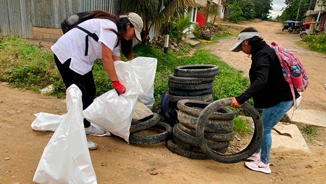 Panamá superó los 822 contagios de dengue
