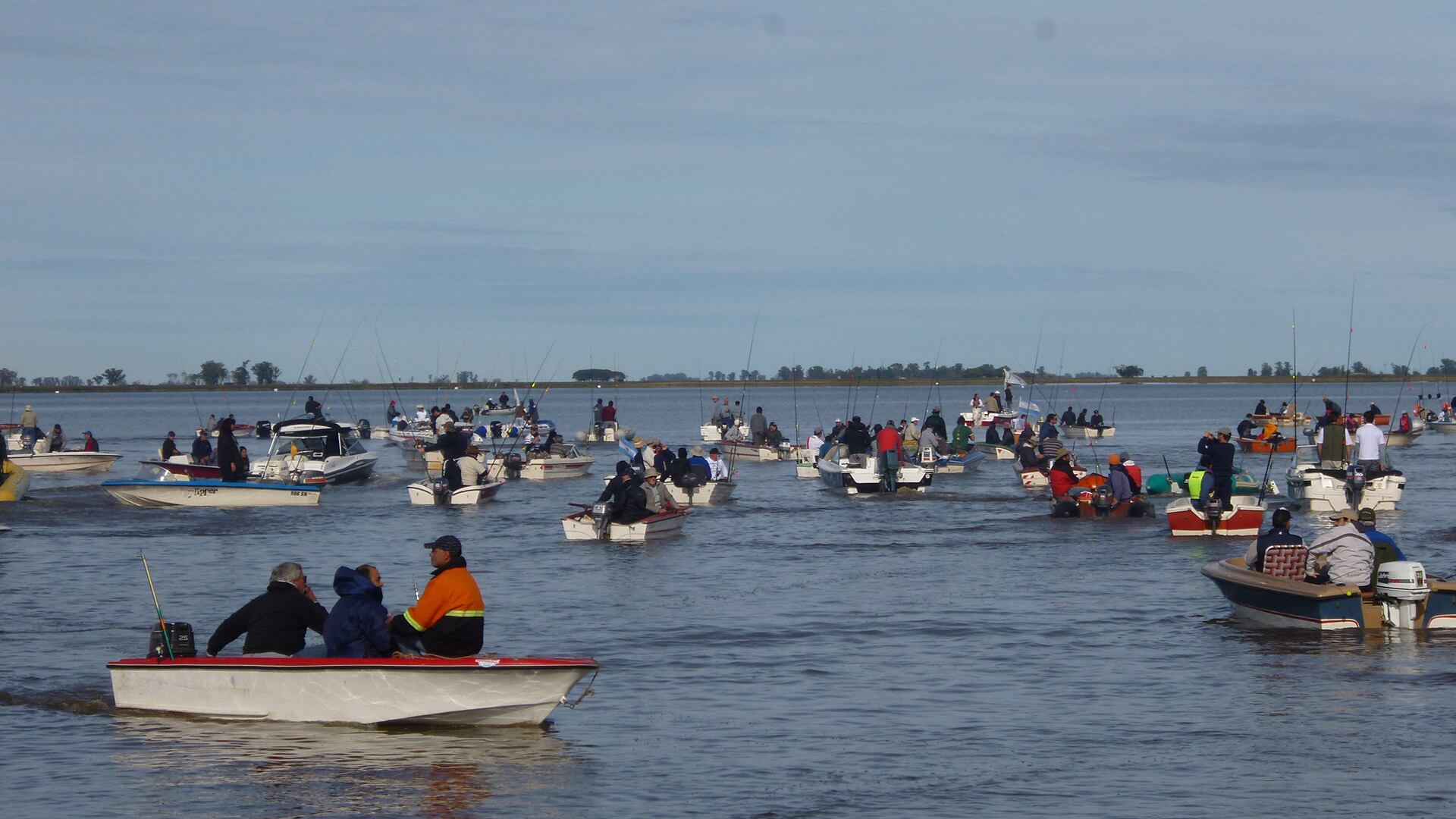 El pejerrey bonaerense es uno de los peces más buscados para la pesca deportiva y tiene gran valor tanto ecológico como económico en la región pampeana/Gustavo Somoza