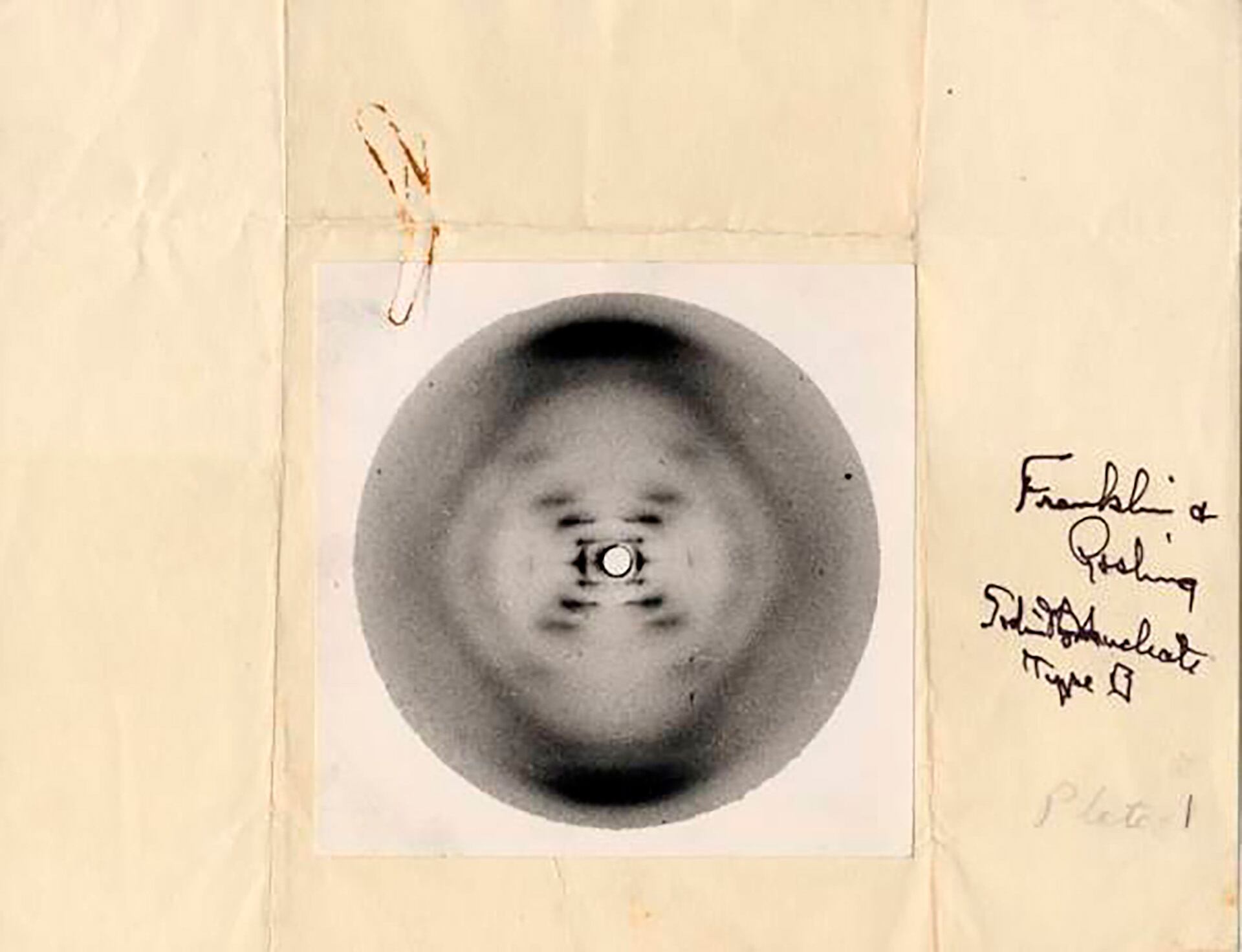 La Fotografía 51, imagen obtenida por Franklin, fue fundamental para desentrañar la forma helicoidal del ADN