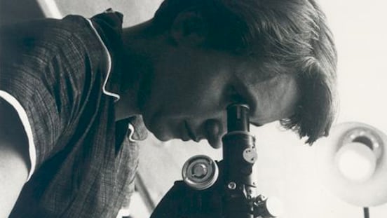 El trabajo de Franklin fue invisibilizado durante décadas debido a los prejuicios y jerarquías en los laboratorios científicos