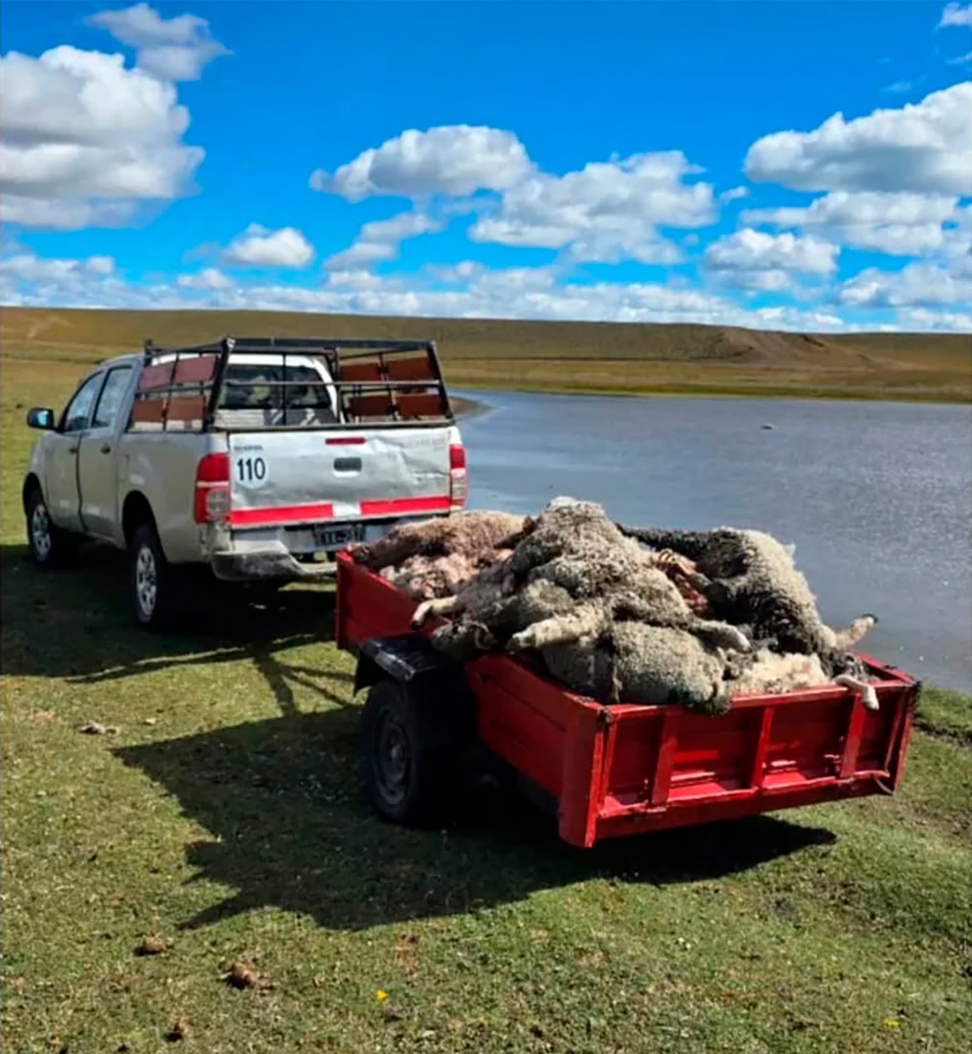 El ataque en Tierra del Fuego representa una catástrofe económica y emocional para alumnos, docentes y la producción educativa local