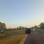 Turistas chilenos atropellaron y mataron a un caballo en una ruta de Neuquén: escaparon y no se sabe nada de ellos