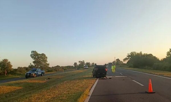 Turistas chilenos atropellaron y mataron a un caballo en una ruta de Neuquén: escaparon y no se sabe nada de ellos