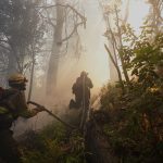 Un abogado ambientalista alertó sobre la urgencia de tipificar el ecocidio: “La justicia no puede mirar para otro lado”