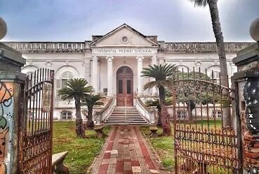 La víctima mortal era alérgica a las picaduras y no pudo recuperarse tras el ataque a pesar de los intentos médicos 