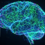 Un hombre recuperó la vista de forma parcial tras un implante cerebral revolucionario