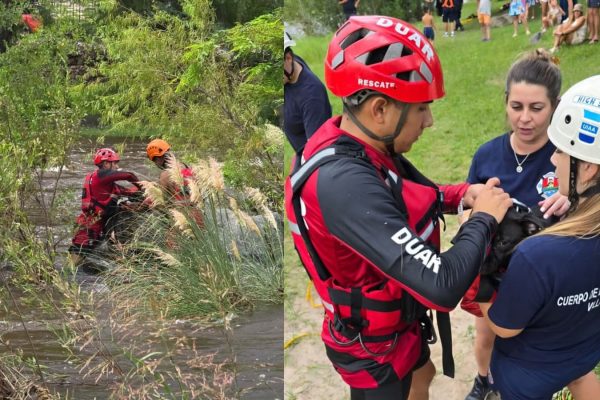 Un perro que había quedado atrapado en el río San Antonio de Córdoba fue rescatado por la policía