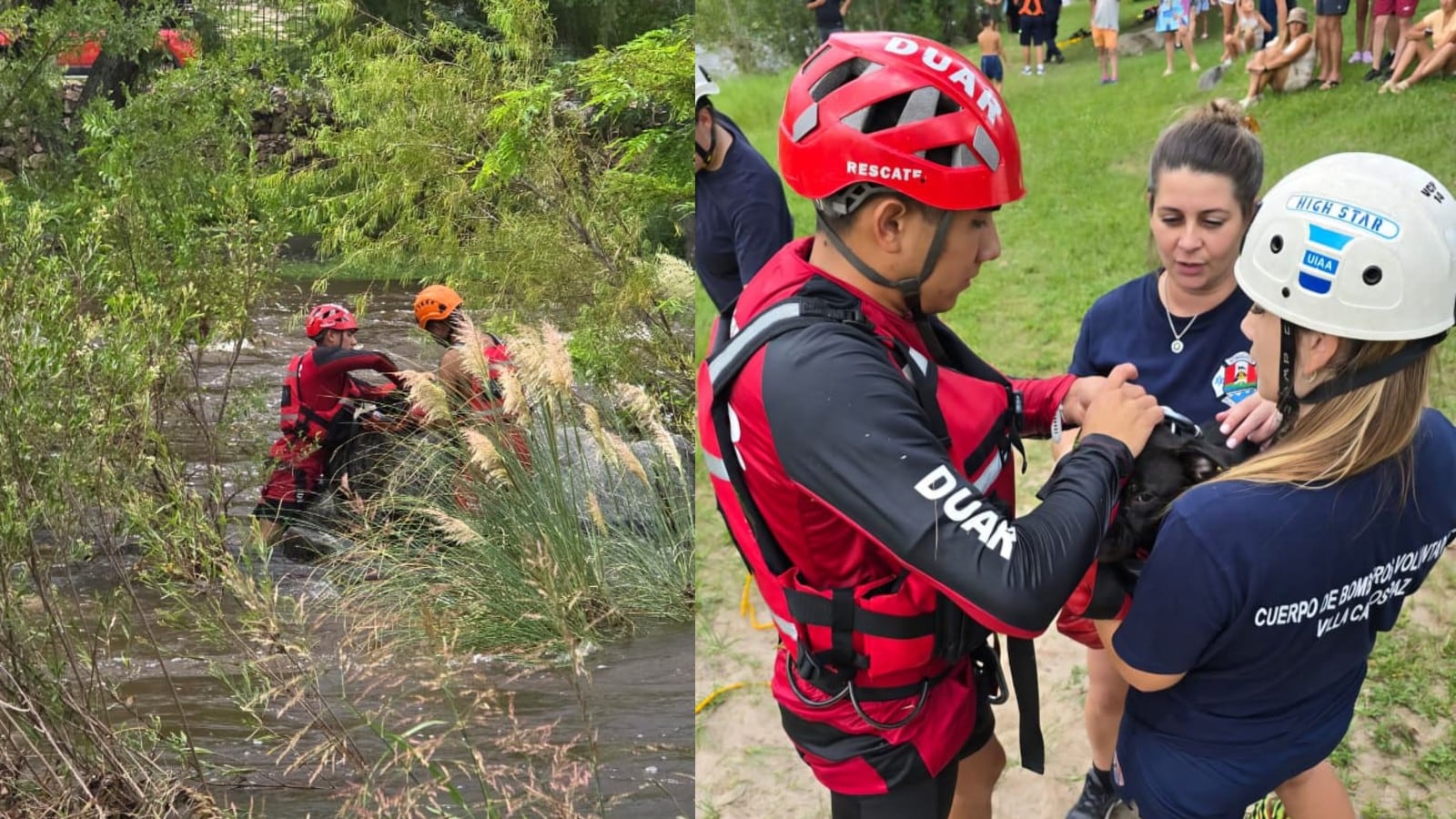 Un perro que había quedado atrapado en el río San Antonio de Córdoba fue rescatado por la policía