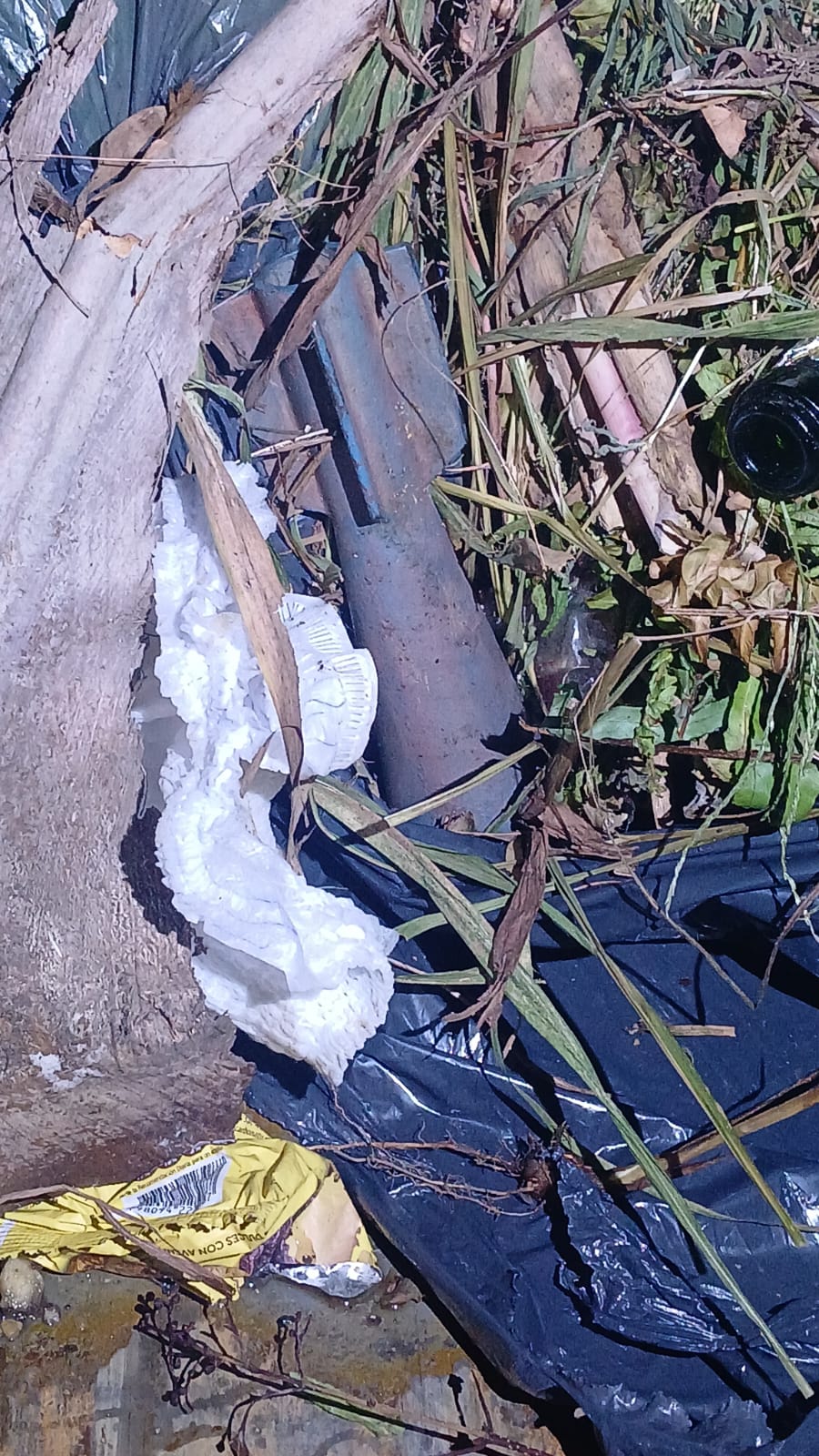 El hallazgo se produjo al iniciar el prensado de la basura en el camión recolector