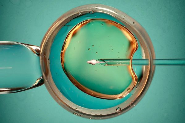 Una opción ‘natural’ para la FIV es igual de eficaz para producir bebés sanos, según demuestra el ensayo