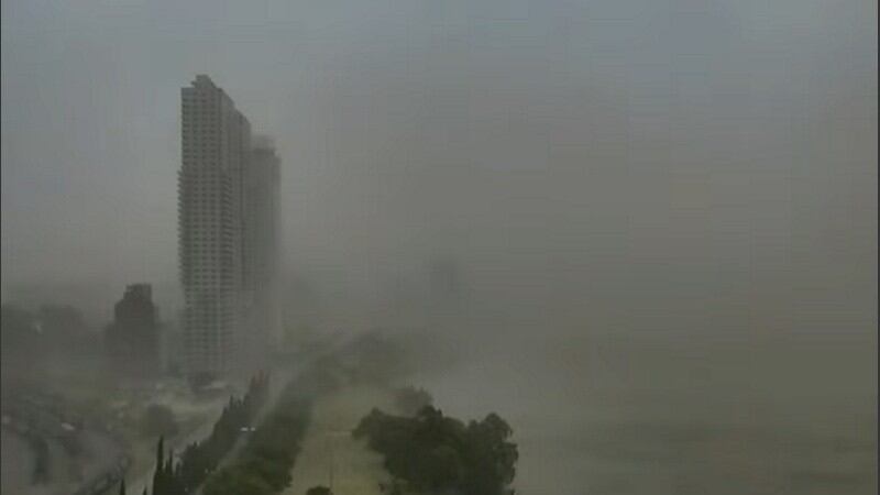 El viento intenso provocó caída de árboles y voladura de chapas en diferentes puntos de Rosario