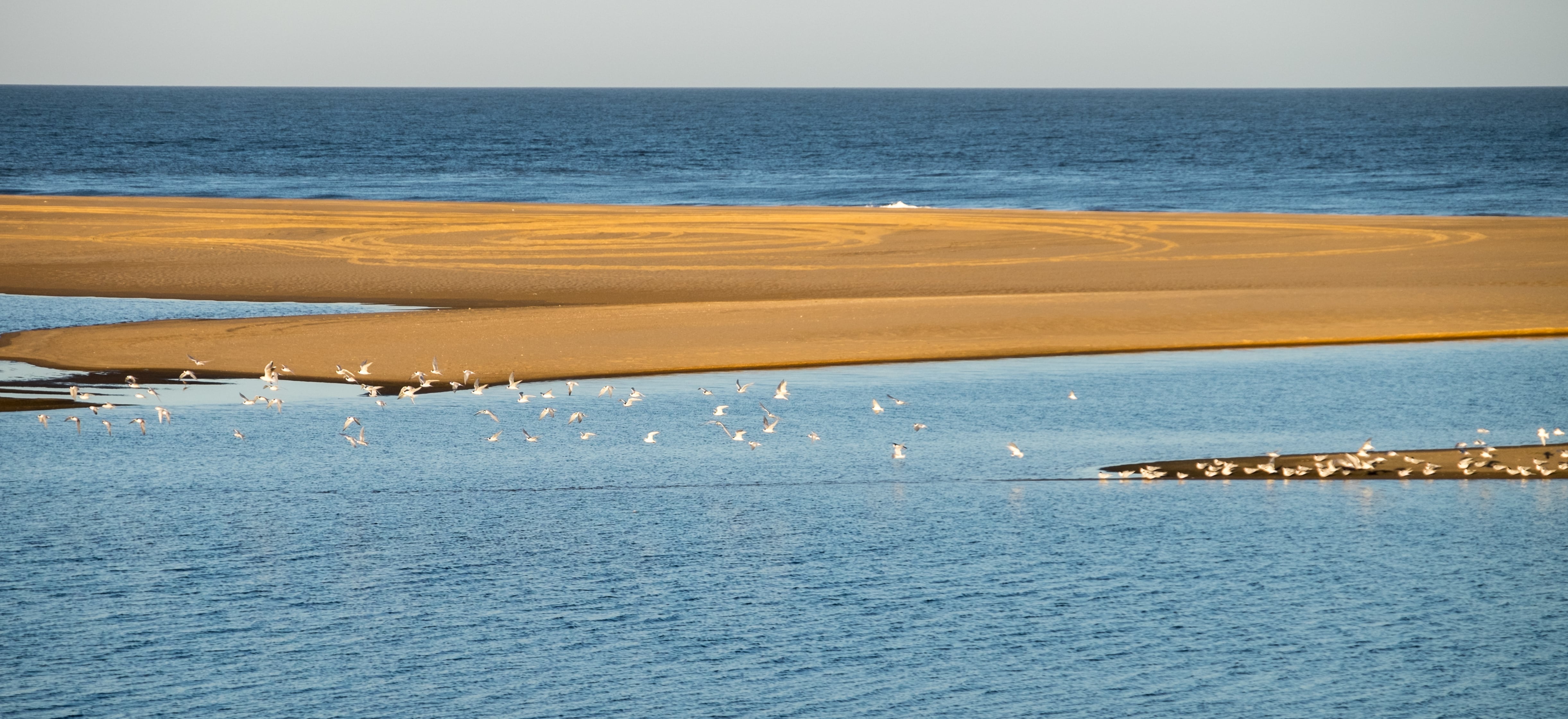 Laguna Garzón, Uruguay (Getty Images)
