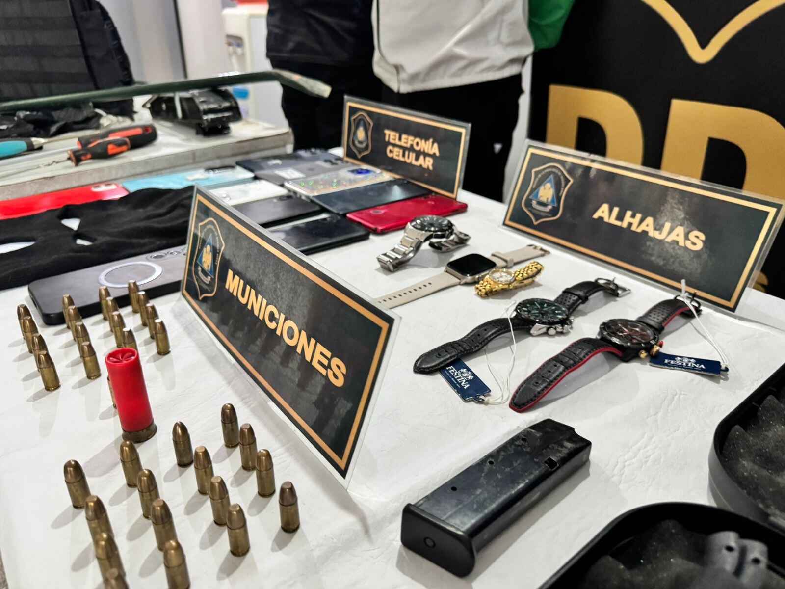 El material incautado durante los allanamientos