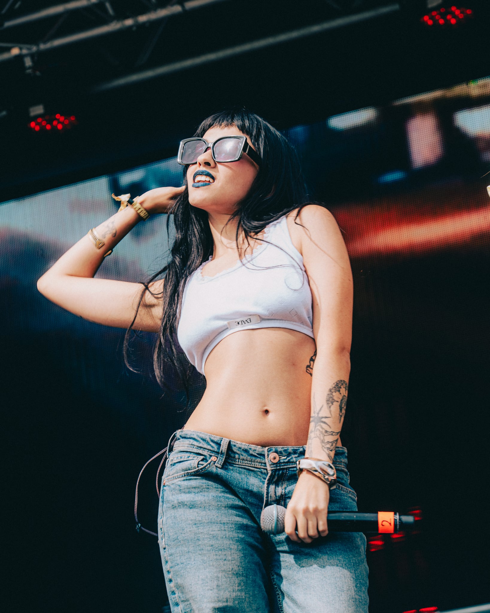 Terra durante su show en Lollapalooza (Prensa DF)