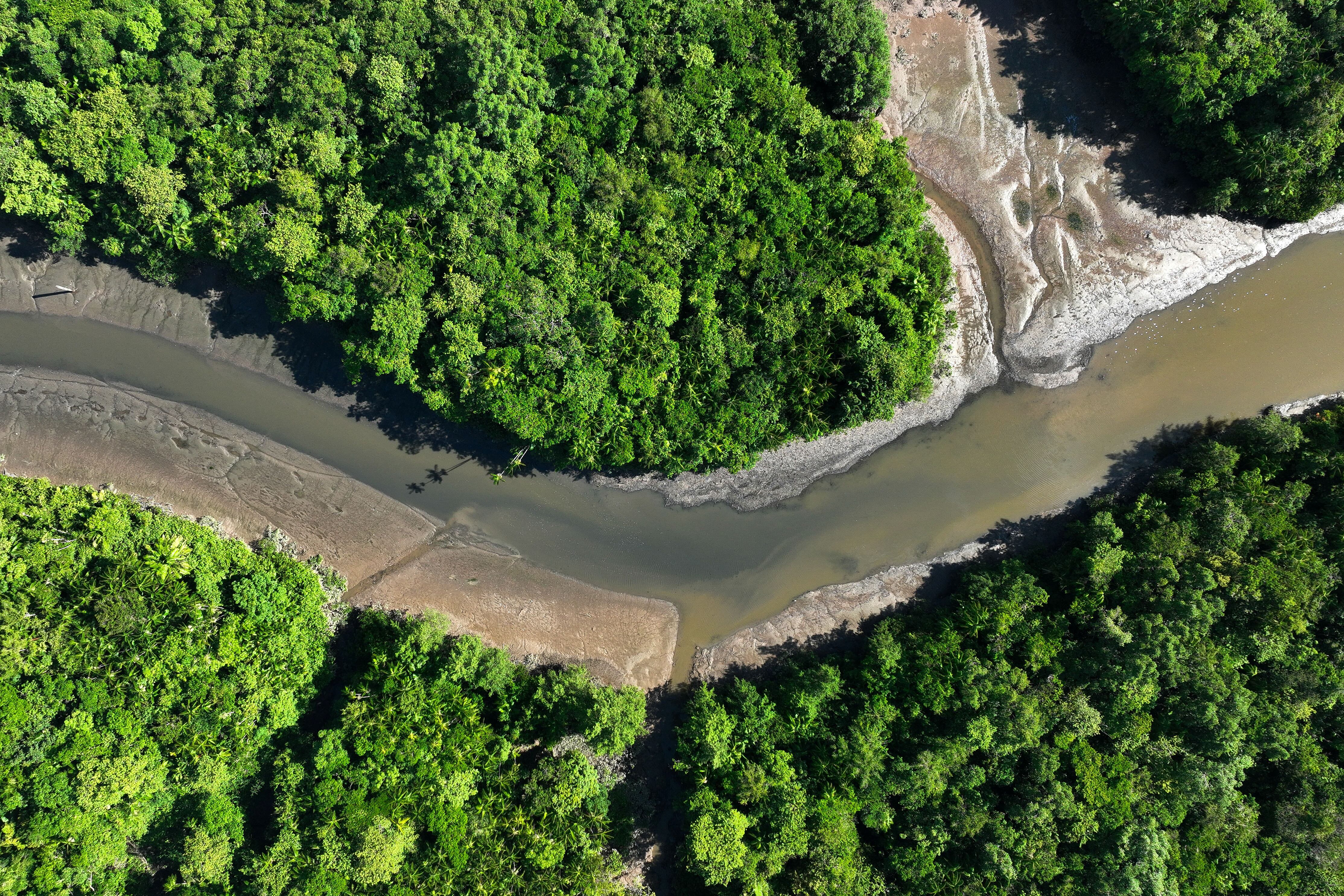 Más del 90% de las capturas pesqueras en la cuenca del Amazonas corresponden a especies migratorias esenciales para la economía y la cultura local/Archivo REUTERS/Ueslei Marcelino
