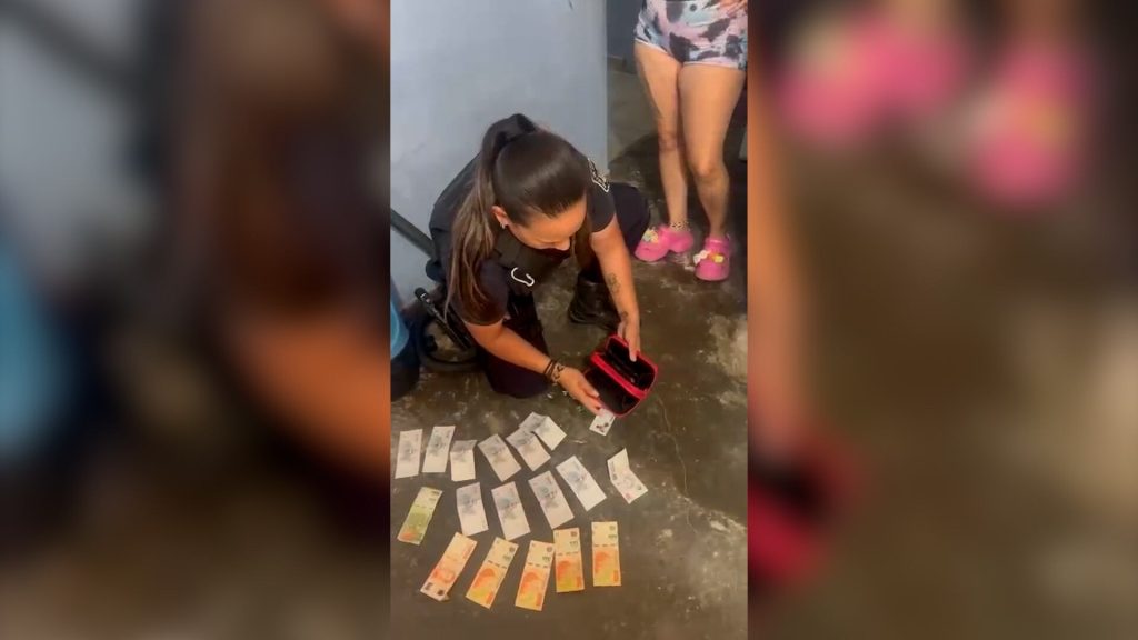 Atraparon a una viuda negra en Esteban Echeverría: había robado una camioneta, dos televisores y 500.000 pesos