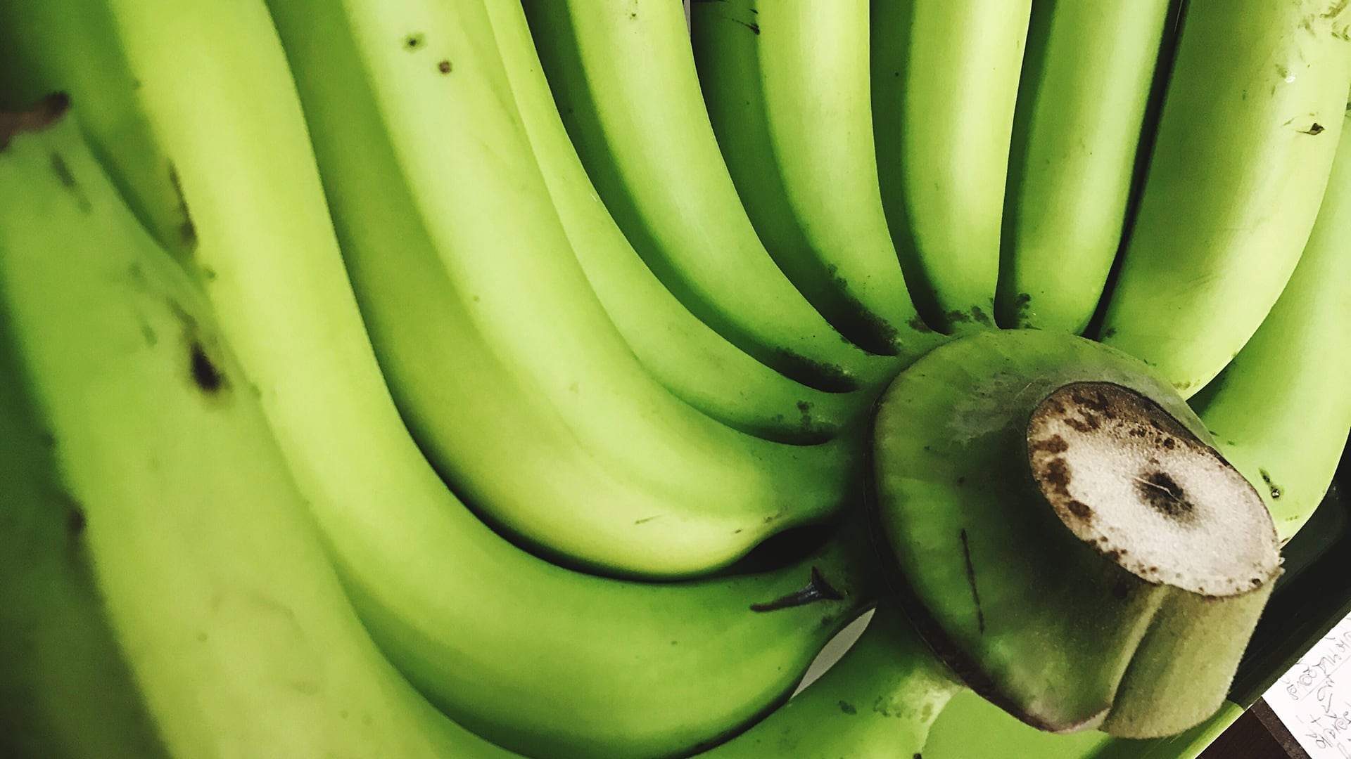 Las bananas verdes contienen almidón resistente, que mejora la salud intestinal y ayuda al control glucémico (Freepik)
