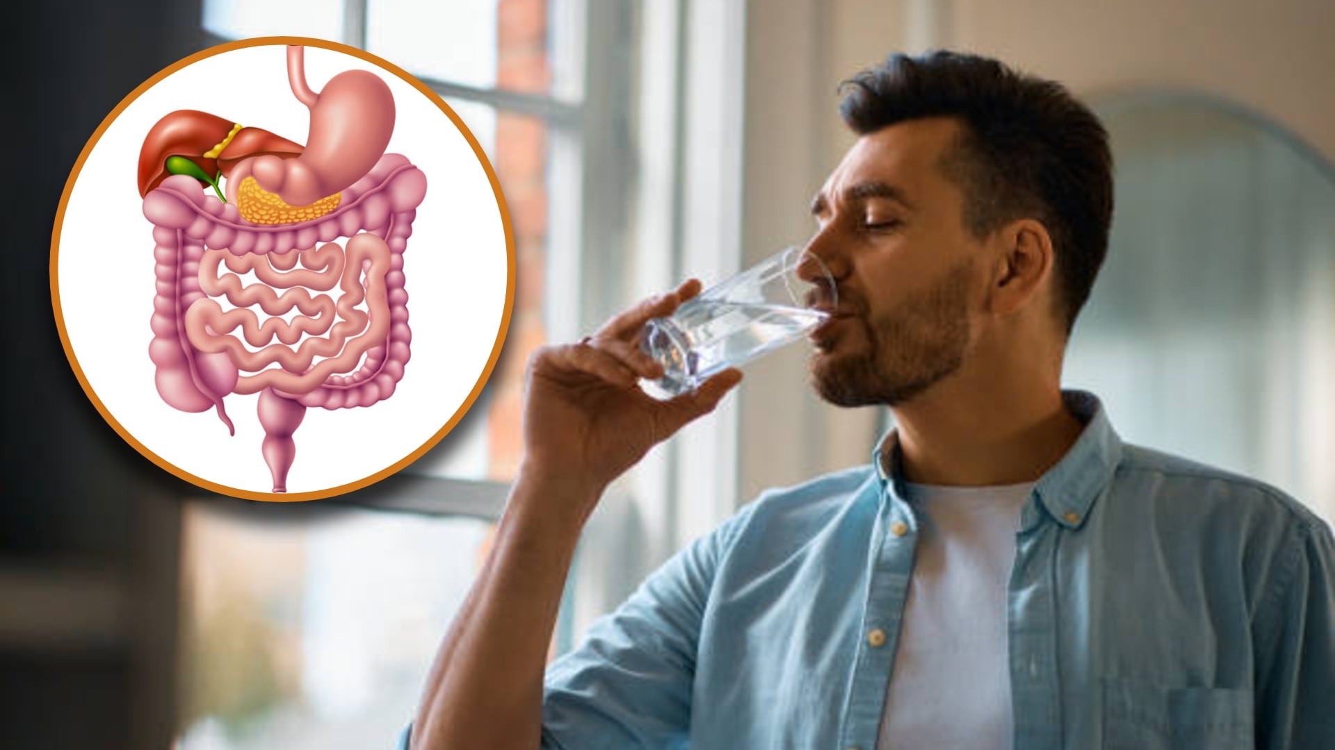 La ingesta de al menos 2,5 a 3 litros de agua al día contribuye a la digestión, el transporte de nutrientes y el cuidado de la piel
Foto: (Jesús Tovar Sosa/Infobae)