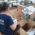 Casio, Rolex y Diesel: Aduana secuestró más de 26 mil relojes truchos valuados en casi mil millones de pesos