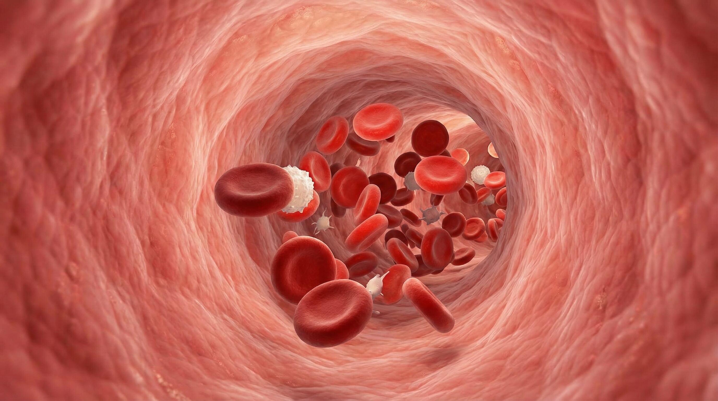 Agregar tomate a la dieta diaria contribuye a reducir la presión arterial y el colesterol LDL, disminuyendo factores de riesgo asociados a enfermedades cardíacas (Imagen Ilustrativa Infobae)