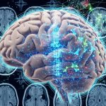 Cómo el cerebro puede prever situaciones en el futuro cercano y anticipar riesgos, según un estudio