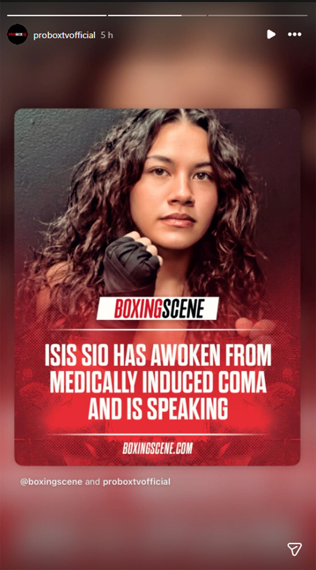 La confirmación del coma inducido de Isis Sio informado por ProtboxTV (@proboxtvofficial)