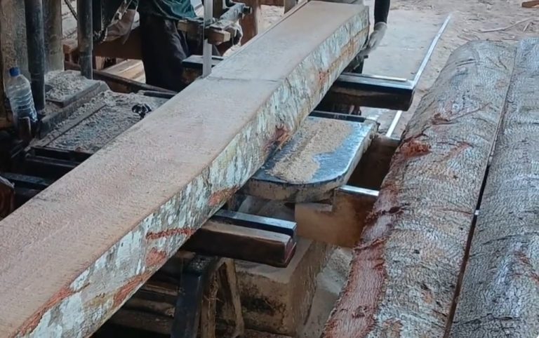 De la Australian Buloke al Quebracho: cuáles son las maderas más duras del mundo