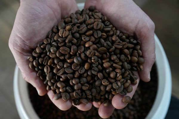 De Minas Gerais al mundo: cómo el cambio climático amenaza al café