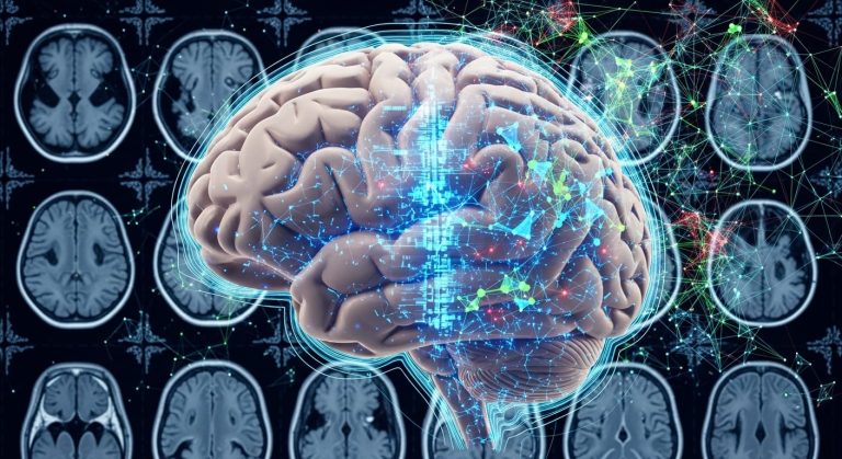 Describen el sorprendente mecanismo detrás de la formación de 170 mil millones de células en el cerebro