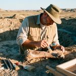 Descubren un antiguo pariente de los cocodrilos que caminaba en cuatro patas al nacer y en dos en la adultez