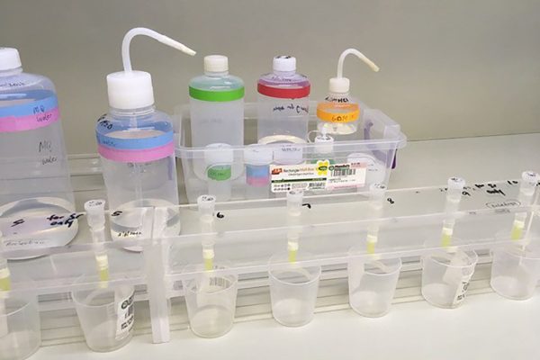 El ADN oculto del Valle de Uspallata: cómo un linaje indígena sobrevivió 2.200 años y desafió la extinción