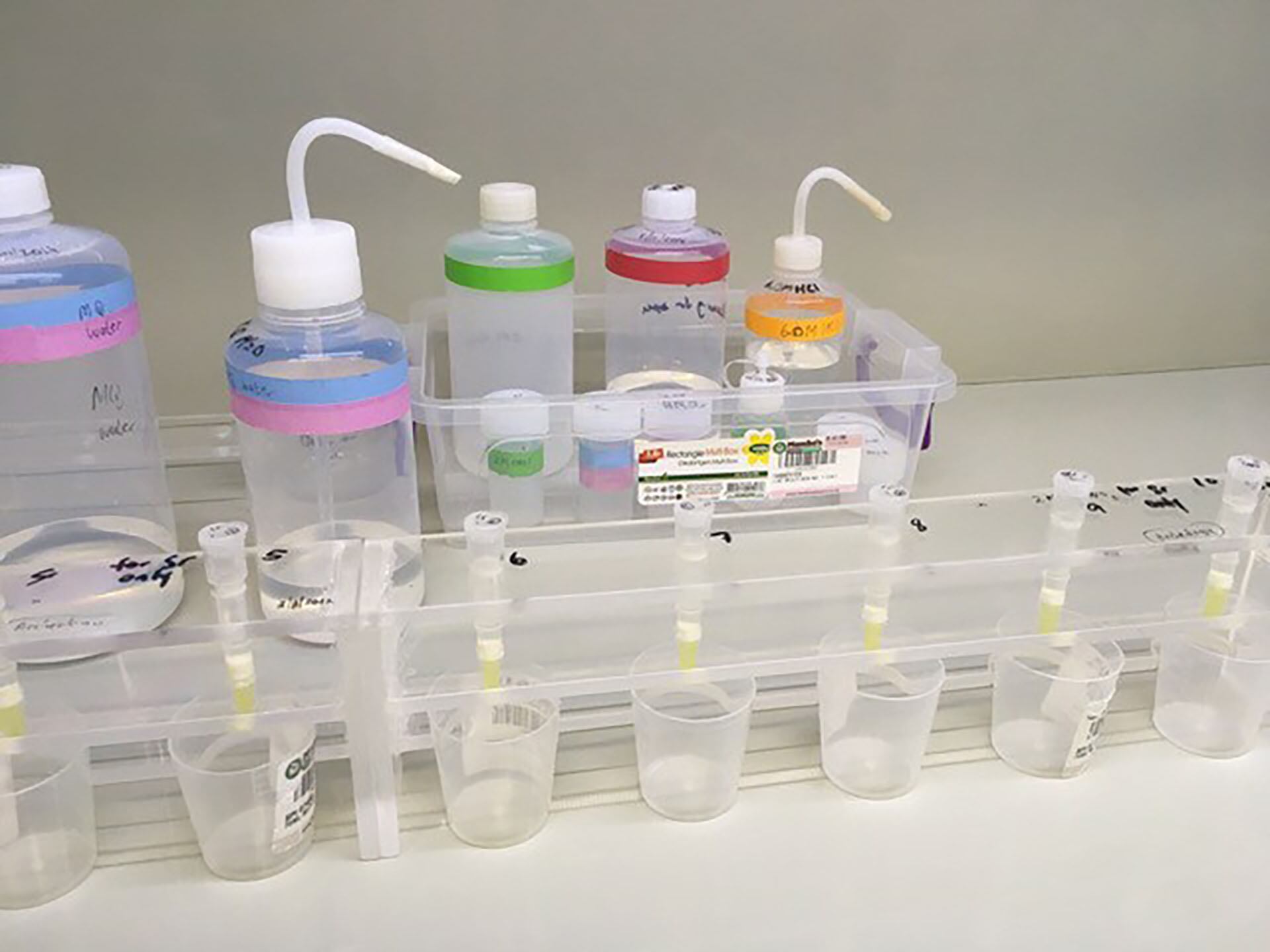 El ADN oculto del Valle de Uspallata: cómo un linaje indígena sobrevivió 2.200 años y desafió la extinción