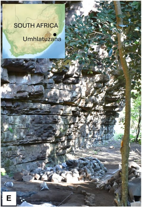 El refugio rocoso de Umhlatuzana en Sudáfrica. Foto Isaksson et al., Science Advances, 2026