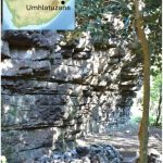 El asombroso hallazgo en Sudáfrica: los primeros humanos ya usaban veneno en sus flechas hace 60.000 años