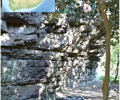 El asombroso hallazgo en Sudáfrica: los primeros humanos ya usaban veneno en sus flechas hace 60.000 años