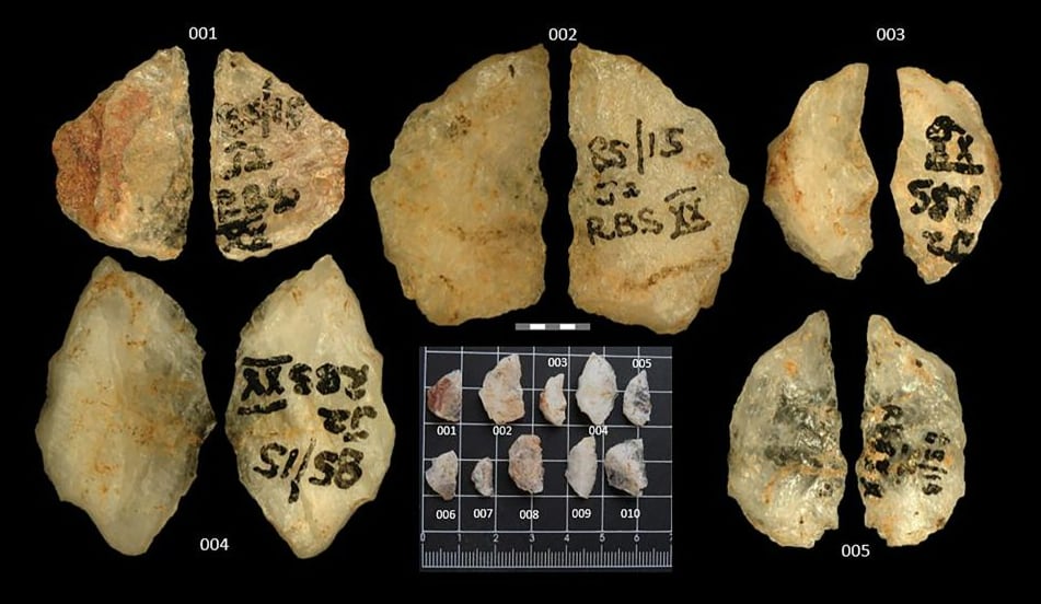 El asombroso hallazgo en Sudáfrica: los primeros humanos ya usaban veneno en sus flechas hace 60.000 años