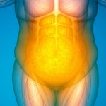 El efecto rebote en las dietas quizás no es malo: ¿puede mejorar la salud metabólica a largo plazo?