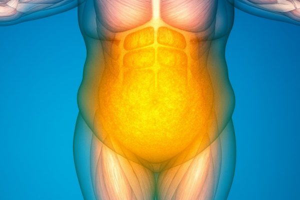 El efecto rebote en las dietas quizás no es malo: ¿puede mejorar la salud metabólica a largo plazo?