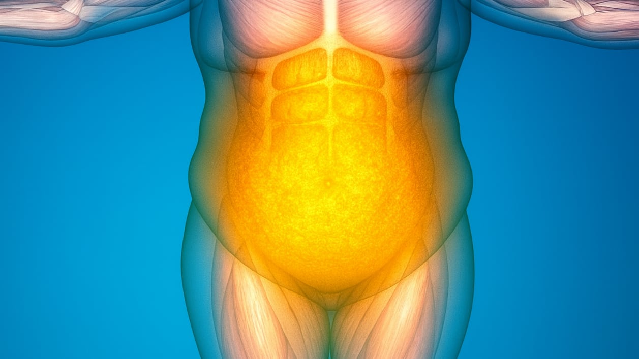 El efecto rebote en las dietas quizás no es malo: ¿puede mejorar la salud metabólica a largo plazo?