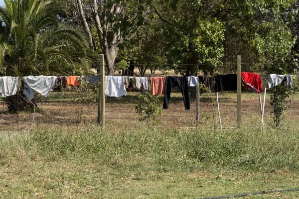 El hogar del horror de Florencio Varela: sometían a 13 chicos a trabajo esclavo y sospechan de funcionarias provinciales