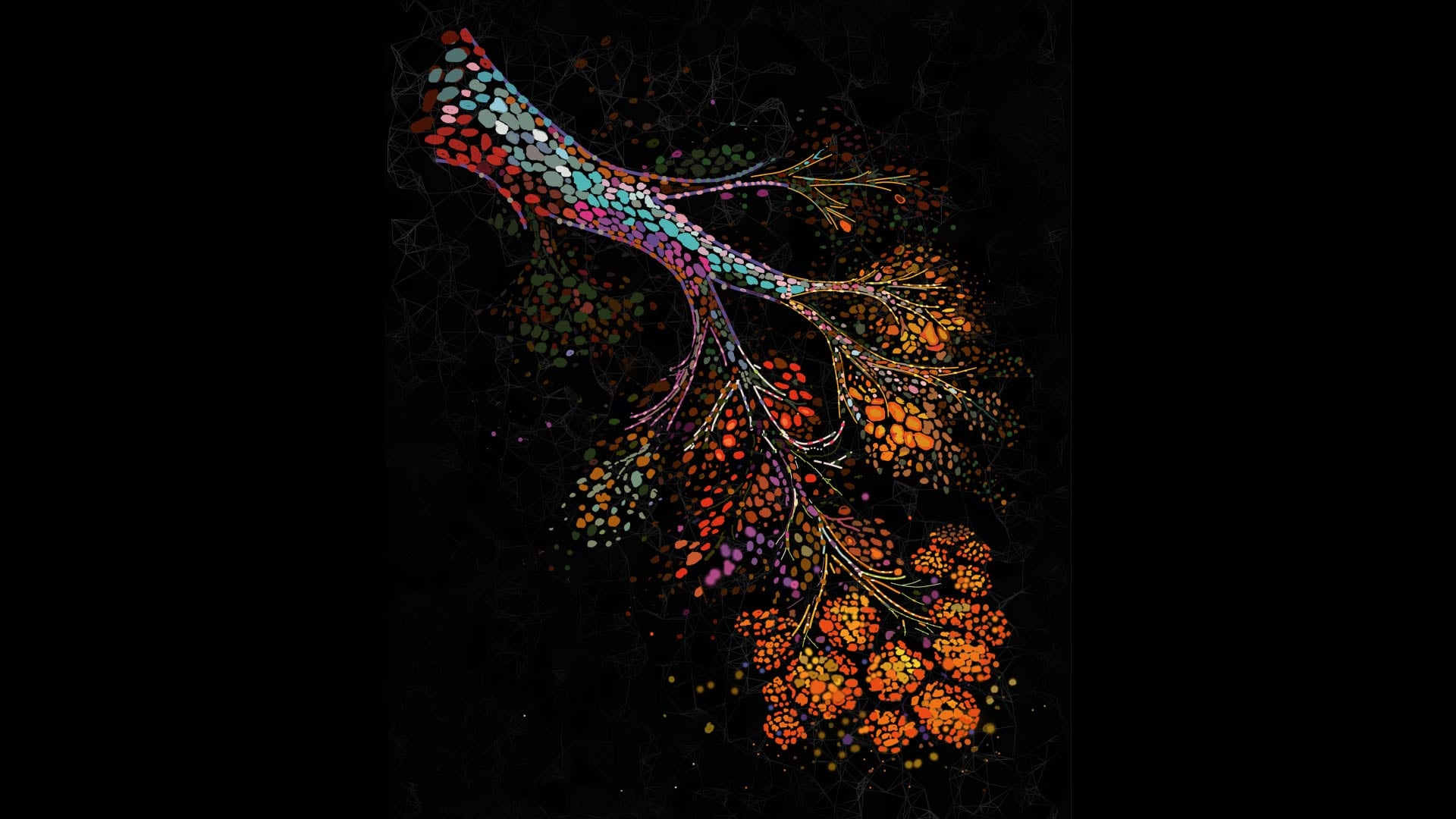 El primer mapa celular del tejido mamario revela cómo la menopausia transforma la arquitectura y el microambiente de las mamas. (Nature Aging)