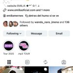 Emilia Mernes habla a través de sus redes: gestos y señales a una semana del escándalo con Tini y María Becerra