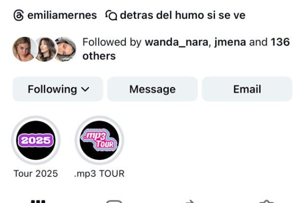 Emilia Mernes habla a través de sus redes: gestos y señales a una semana del escándalo con Tini y María Becerra