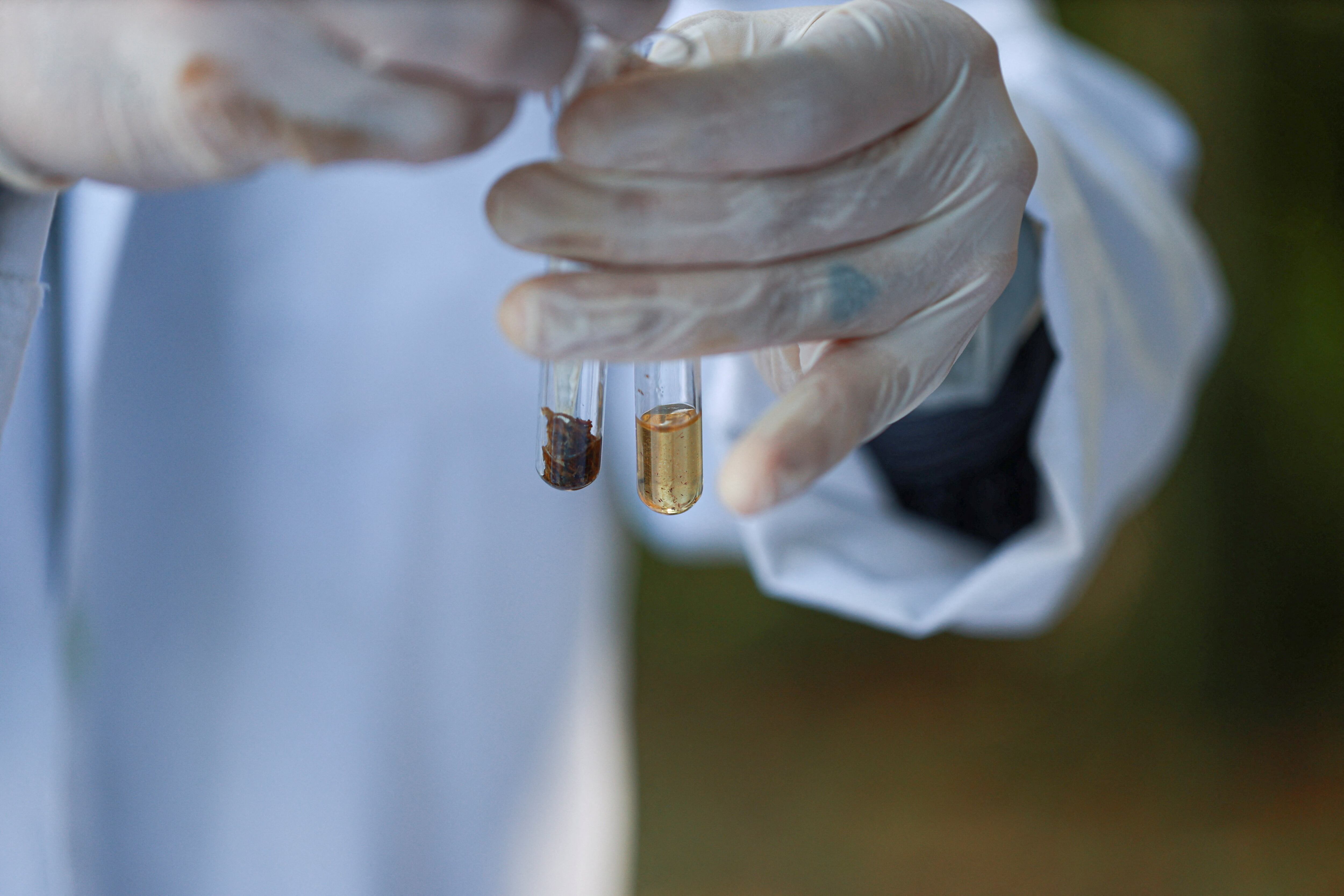 Imagen referencial. El programa se articula principalmente a través de la Oficina de Asuntos Internacionales de Narcóticos y Aplicación de la Ley (INL, por sus siglas en inglés) y la Administración para el Control de Drogas (DEA). REUTERS/Erika Santelices